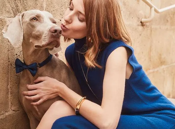 Gran Melia Palacio De Isora & ホテル 5*